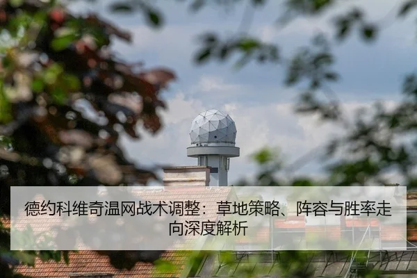 德约科维奇温网战术调整：草地策略、阵容与胜率走向深度解析